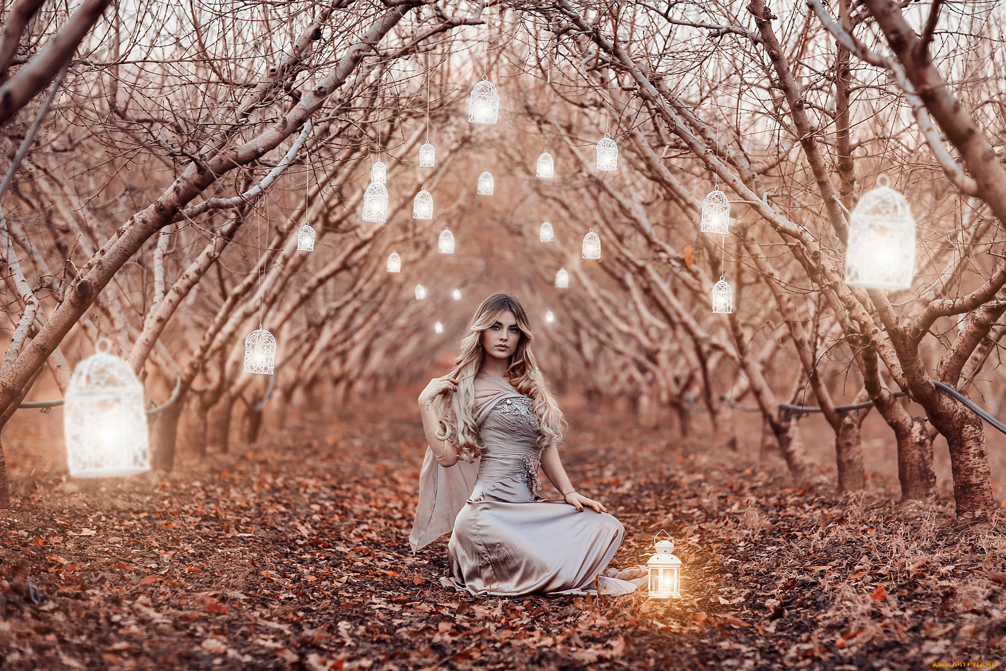 , alessandro di cicco, alessandro, di, cicco, , , magic, lanterns